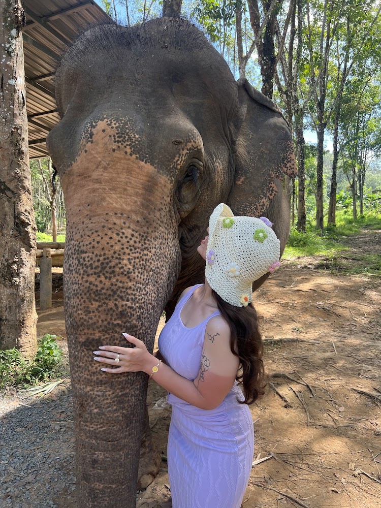 Pa Klok, Lily Elephant Camp @Phuket route