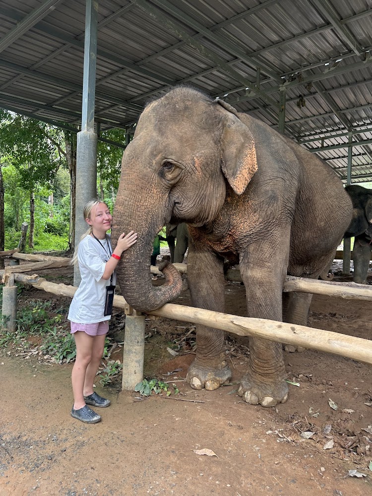 Pa Klok, Lily Elephant Camp @Phuket exact address