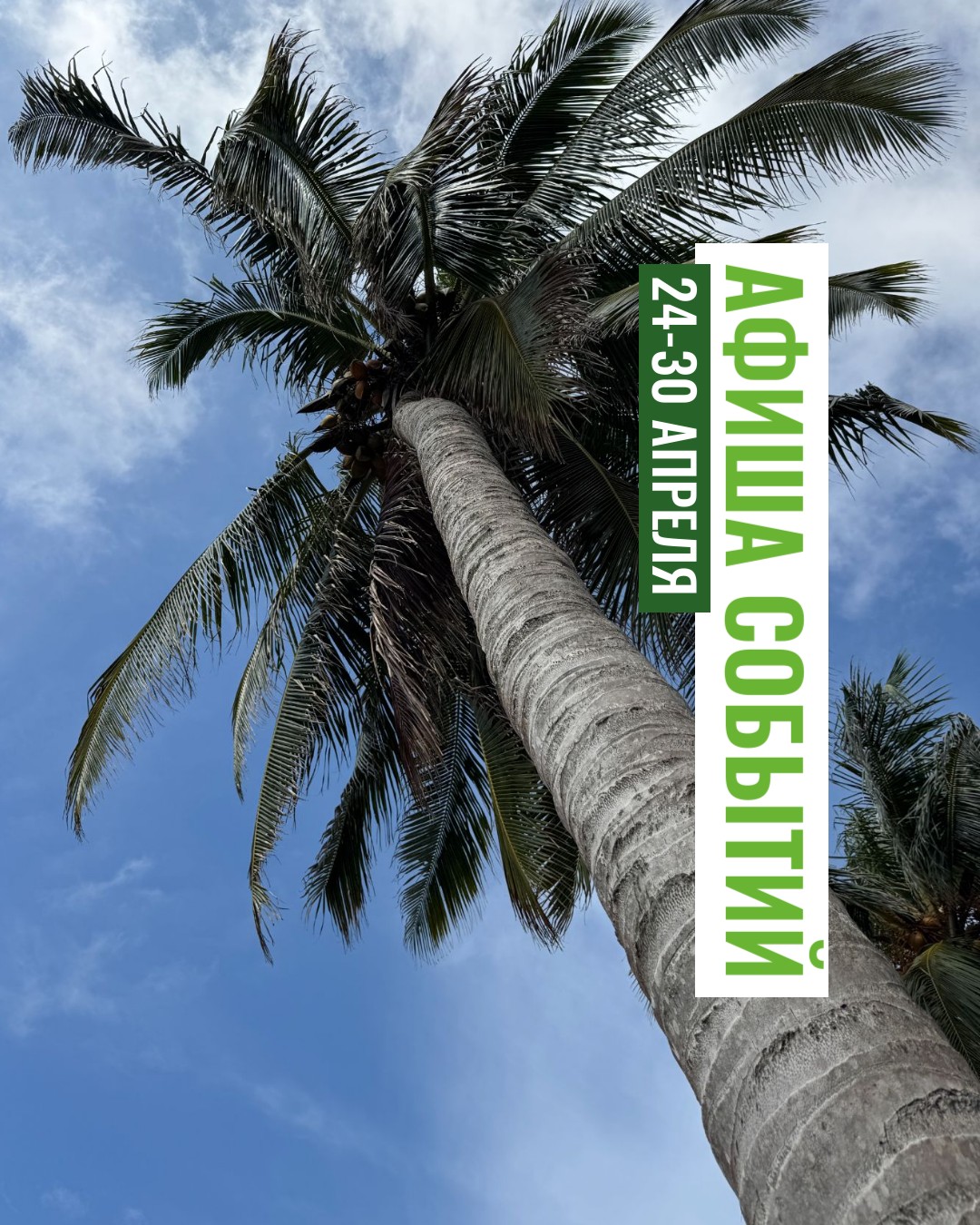 dWophMlfMXgUnq6DFqcVCA_QJ8wo_cCP