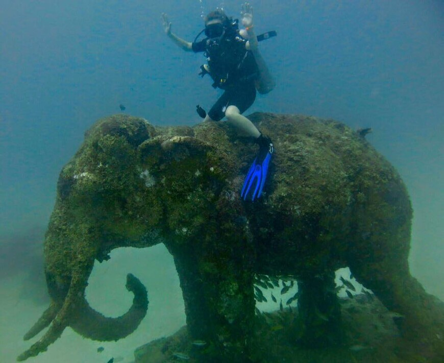 4XiuNAgr3PKIqZt5ZgiIKaWU3FkBgnwy