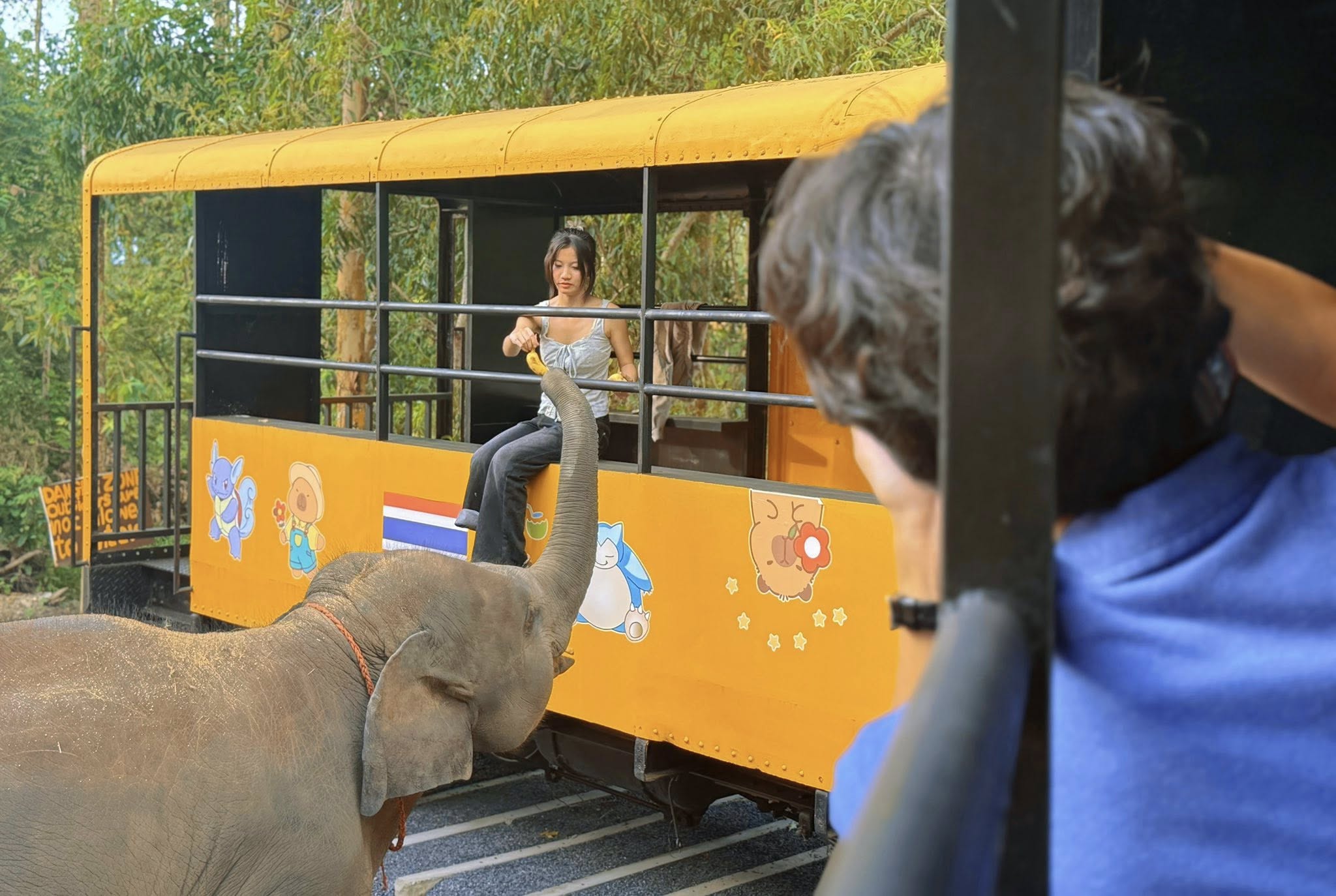 Банг Тао, Elephant Care Park Nai Dee Phuket точный адрес