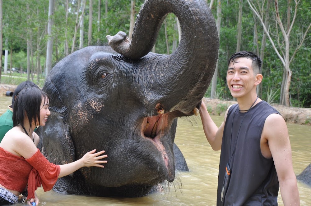Банг Тао, Elephant Care Park Nai Dee Phuket точный адрес