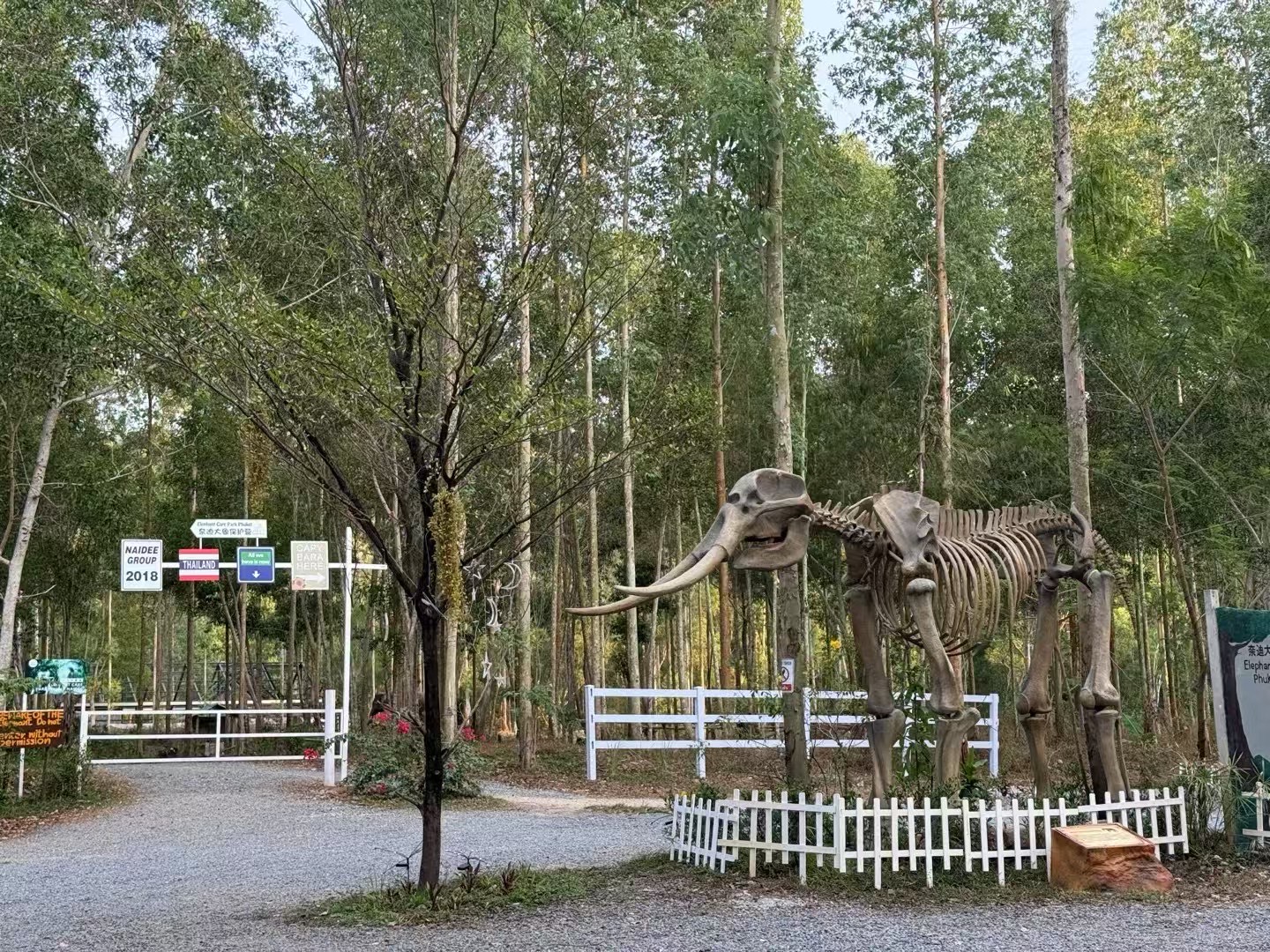 Банг Тао, Elephant Care Park Nai Dee Phuket как доехать