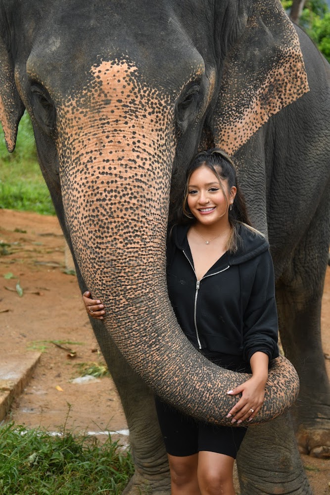 Кату, Elephant Jungle Sanctuary Phuket адрес