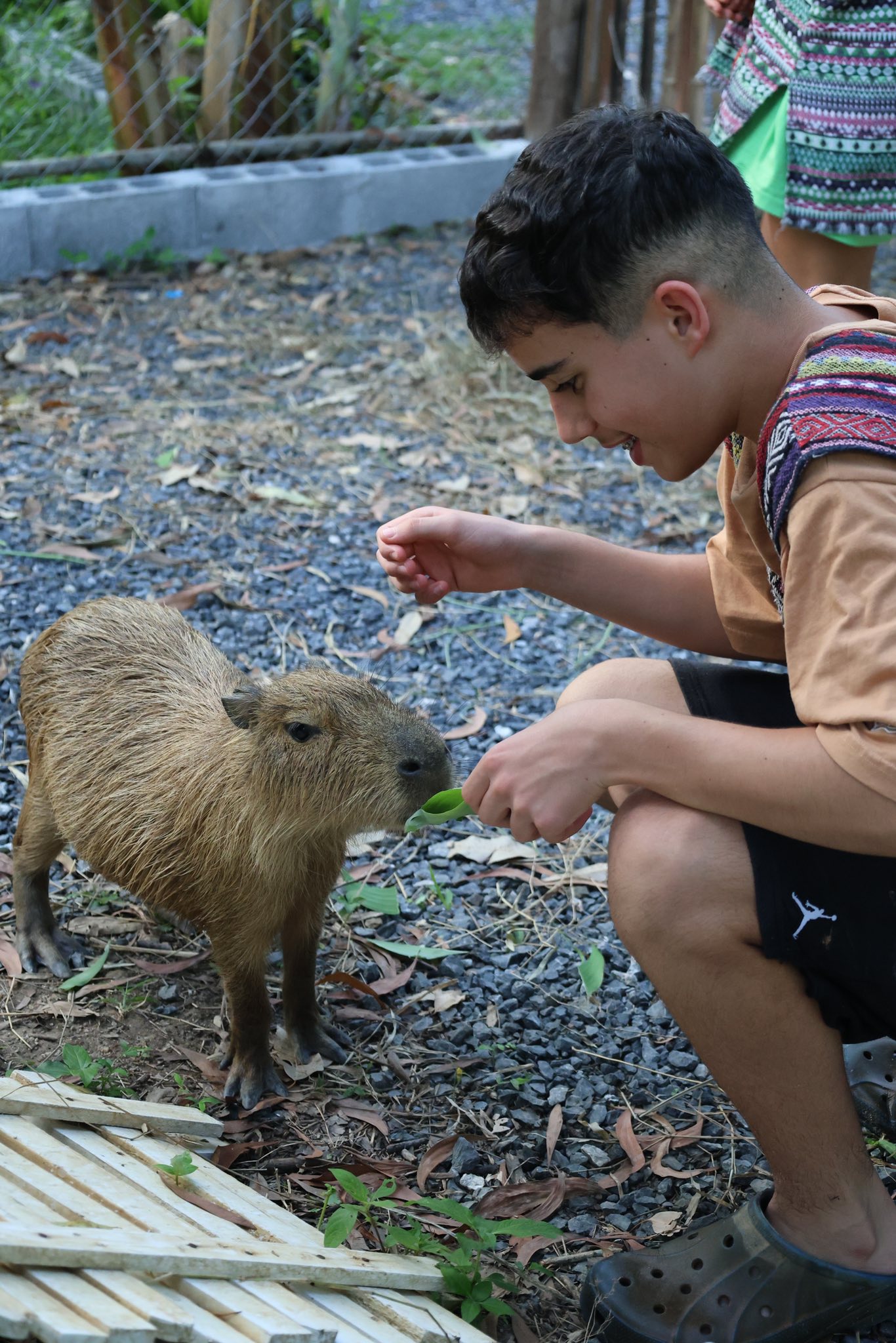 Банг Тао, Elephant Care Park Nai Dee Phuket добраться самостоятельно