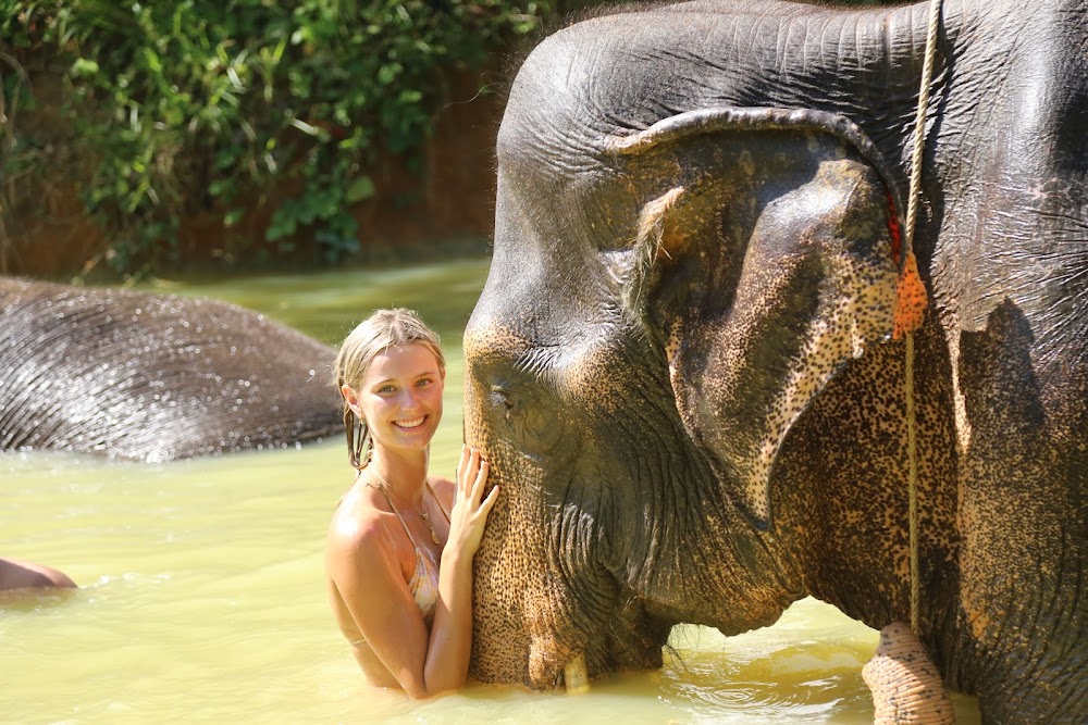 Кату, Elephant Jungle Sanctuary Phuket сходить