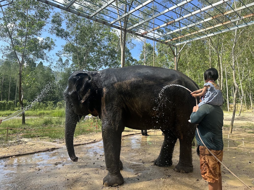 Банг Тао, Elephant Care Park Nai Dee Phuket время работы