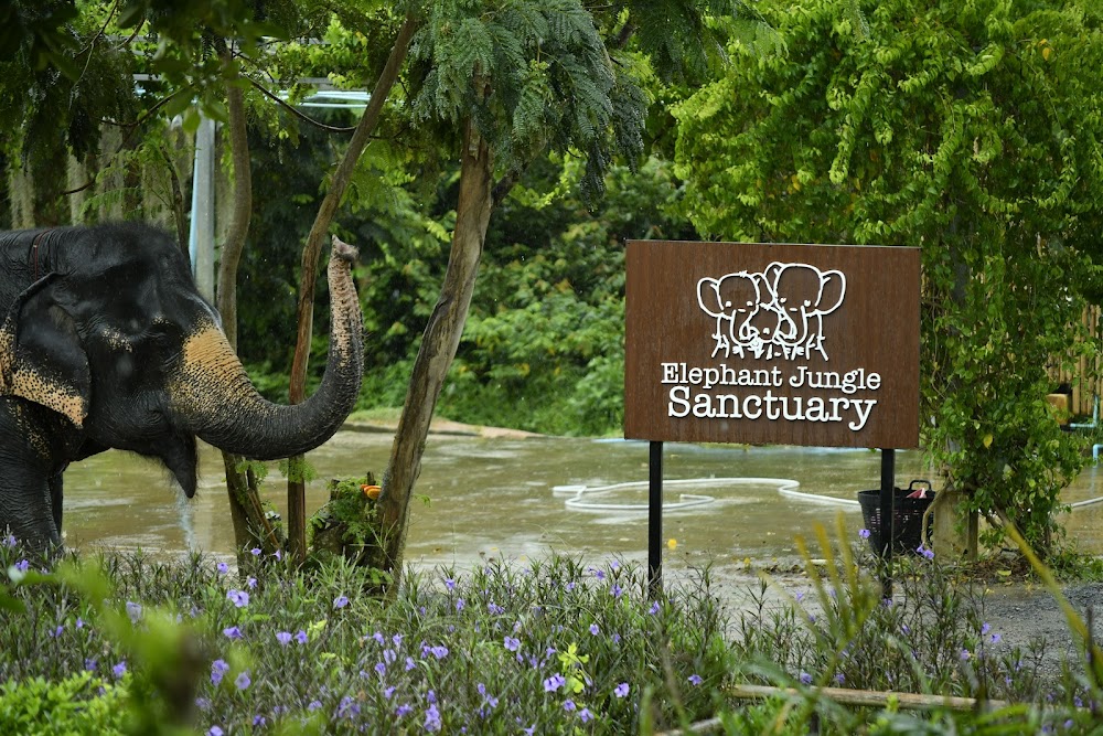 Кату, Elephant Jungle Sanctuary Phuket как добраться