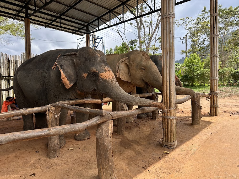 Кату, Elephant Jungle Sanctuary Phuket адрес