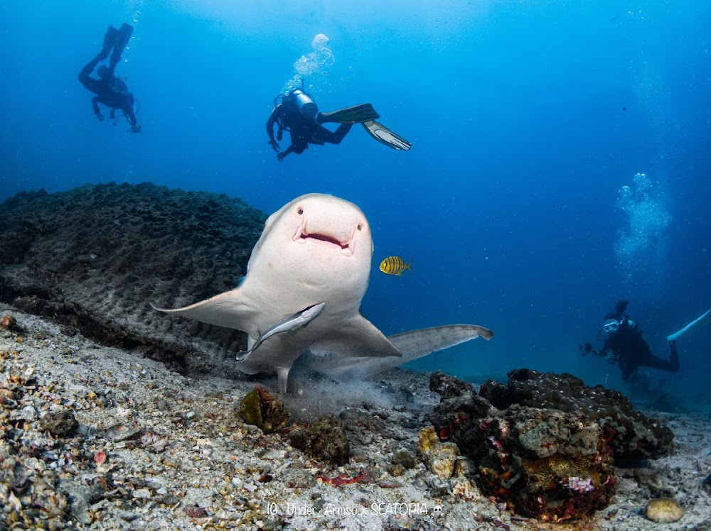 1qlBt28jOCUEMCJl-LTMz2UVVnsew8D_