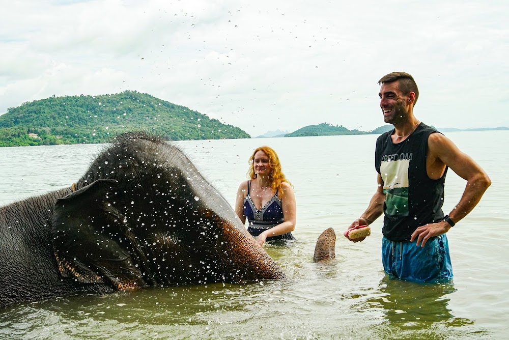 Рассада, Phuket Siray Elephant Care Camp точный адрес
