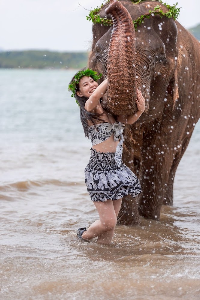 Рассада, Phuket Siray Elephant Care Camp найти