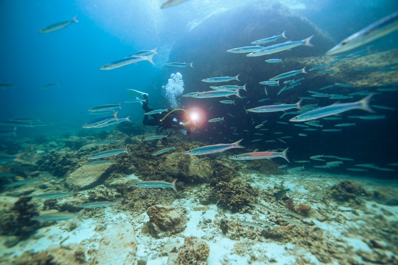 JrLwRZQp2wudS9TJz2UJ2hvb5eU3oDGm