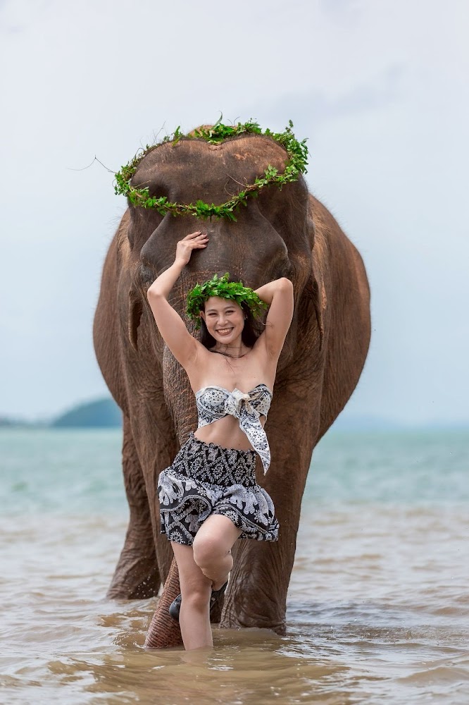 Рассада, Phuket Siray Elephant Care Camp как доехать