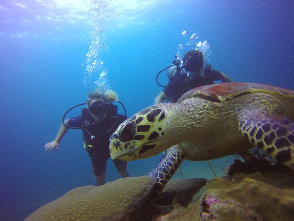 xYTaTc7N8cXMQFVsuO-8CrjOGiNteSIy