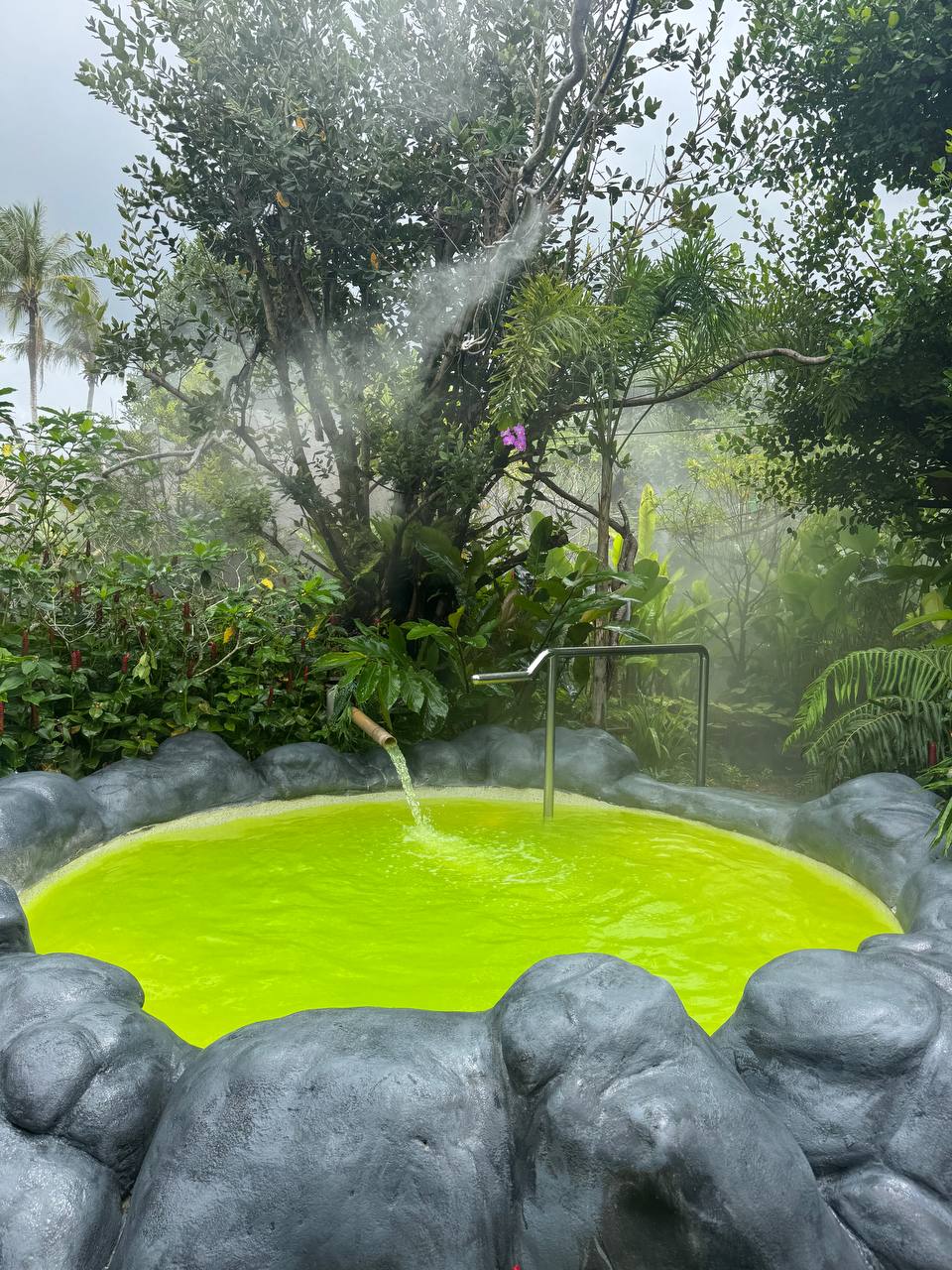 Kox26PD6tz30s0cQL_Q17WD0wyJ_6orq