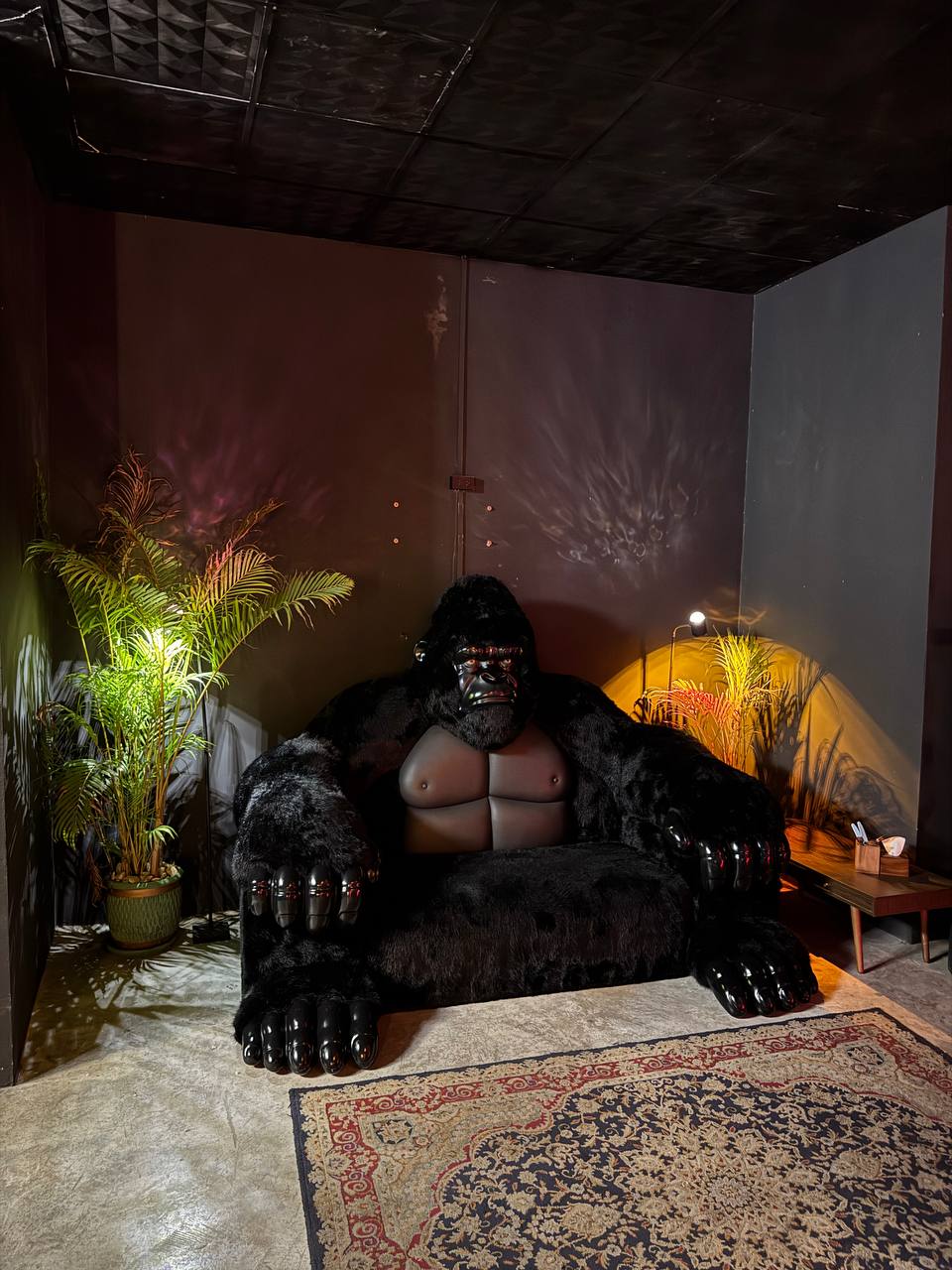 Ката, Вечно Молодой | Bar адрес