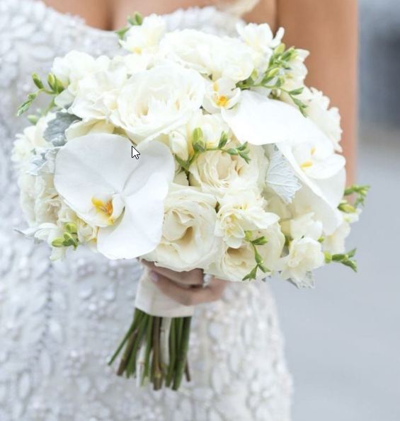 ye13RpCgDOF3_YAiio4lEhsI7NLl7ndN