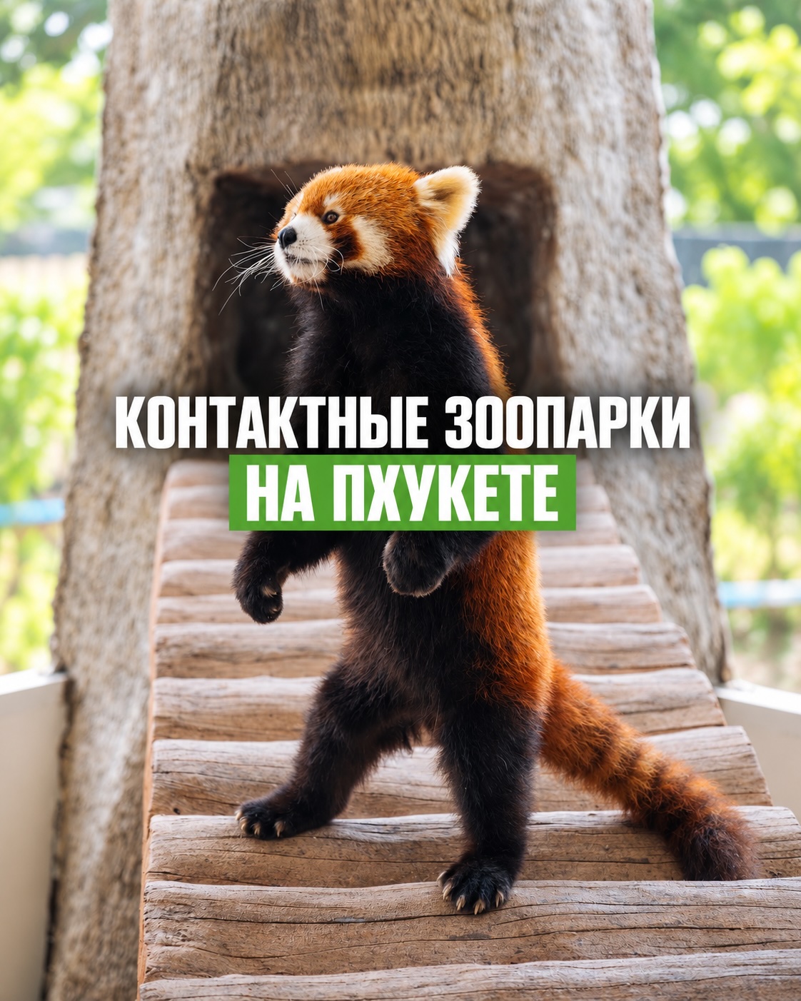yDFki4kfJ0oGDADGNM8RYAk4Vt6oKNmF