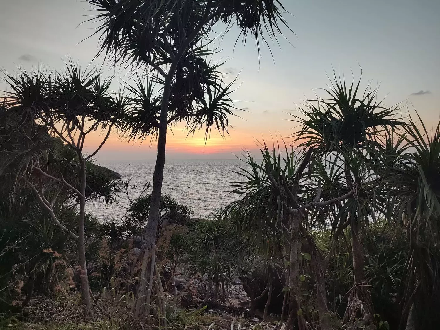 Patong, Пляж Парадайз время работы
