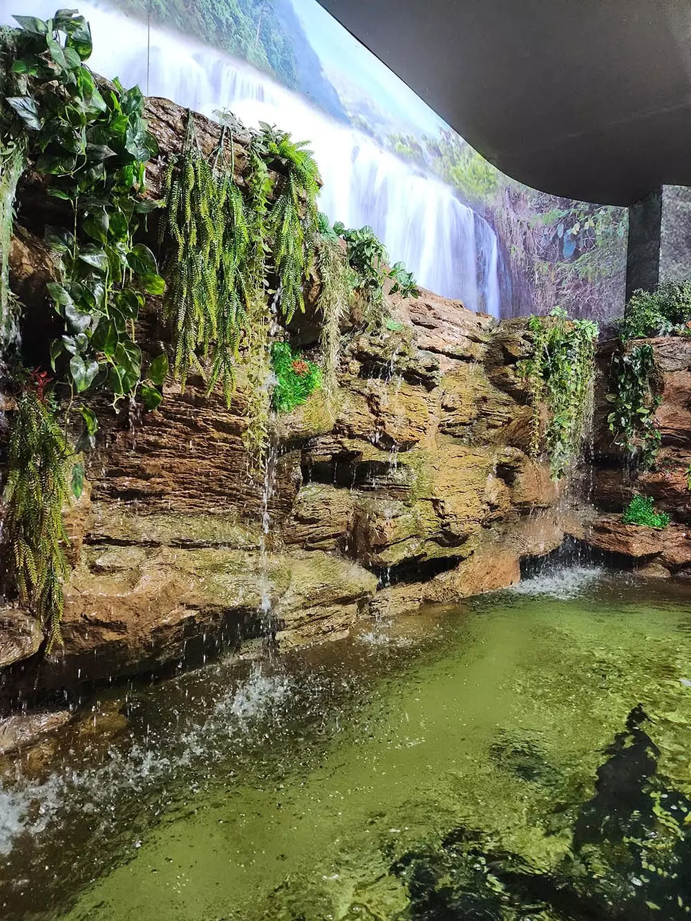 Panwa, Phuket Aquarium как добраться