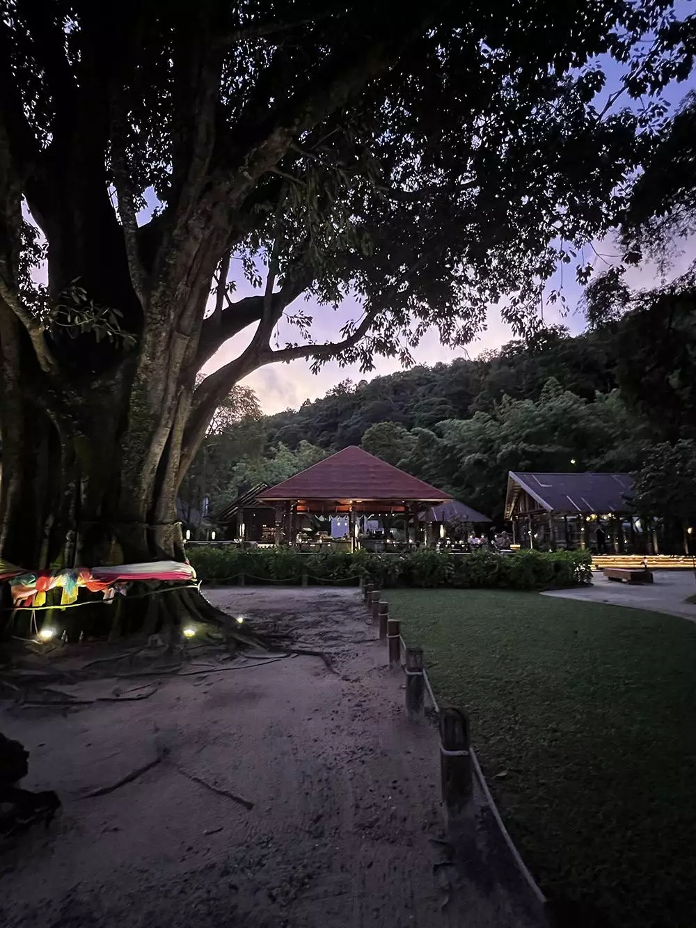 Patong, Ta Khai добраться самостоятельно