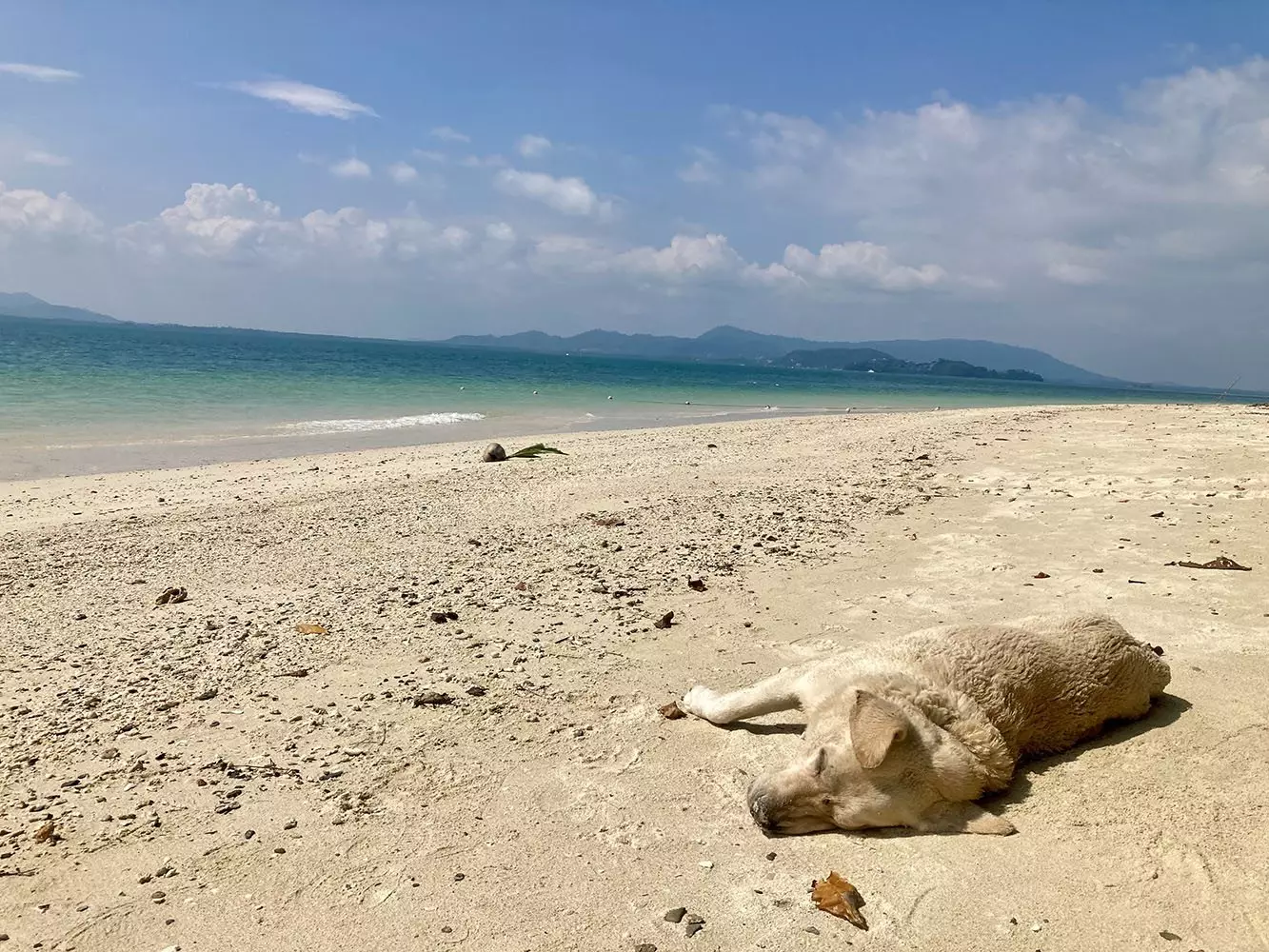 Rang Yai Island opening hours