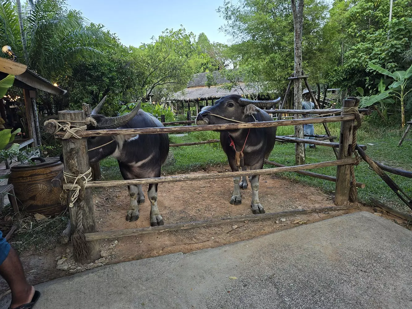 Ko Kaeo, Siam Niramit Phuket location