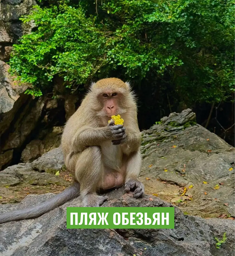 -NXm47MFi3VNP2zPGQ941RByayYUNDZc