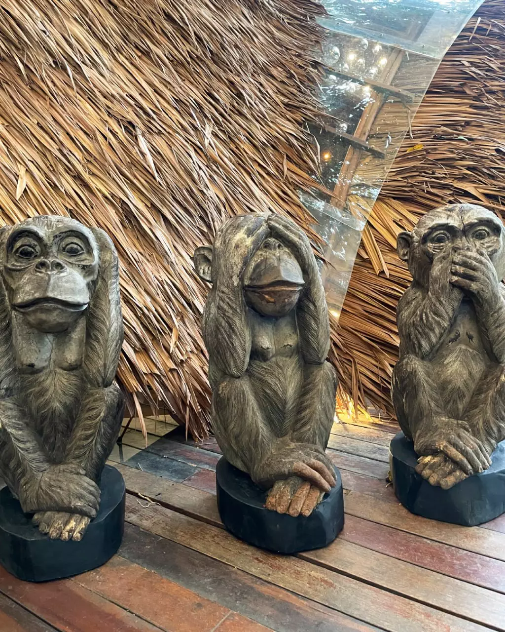 Phuket Town, Three Monkeys Restaurant сходить