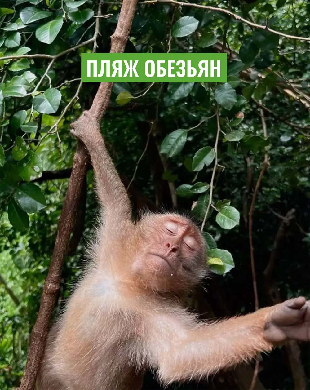 _rBW-iBZUKSpaxFdev_JFbsNVecusekO