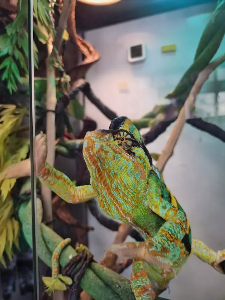 Chalong, Tang Toh Restaurant with mini-zoo and Thai cuisine location