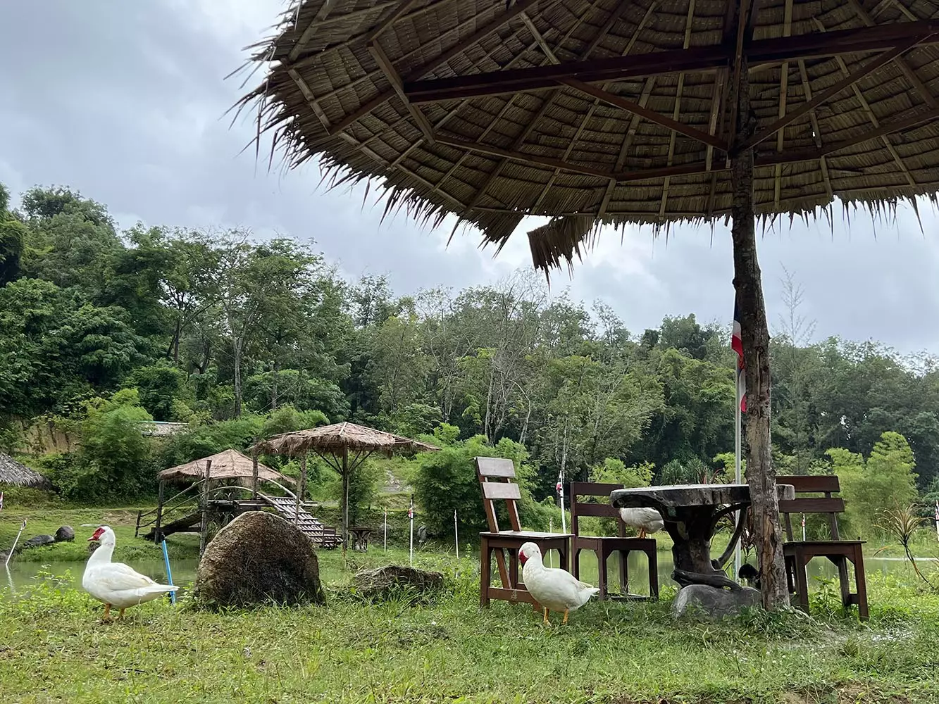 Sakhu, Phuket Elephant Care время работы
