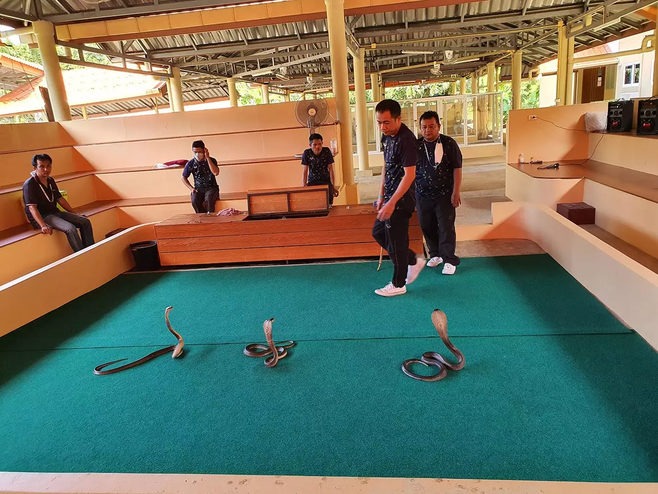 Chalong, Snake farm how to get there