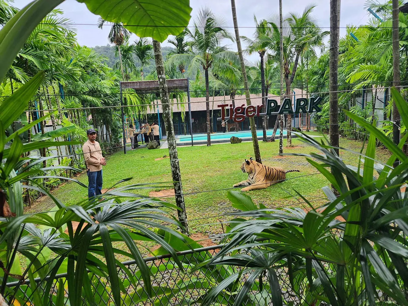 Chalong, Tiger Park Phuket photo