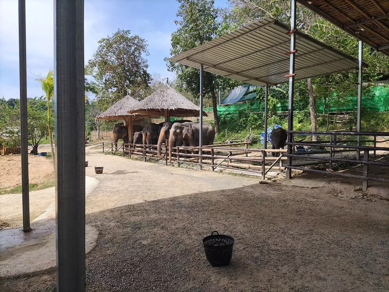 Sakhu, Phuket Elephant Care точный адрес