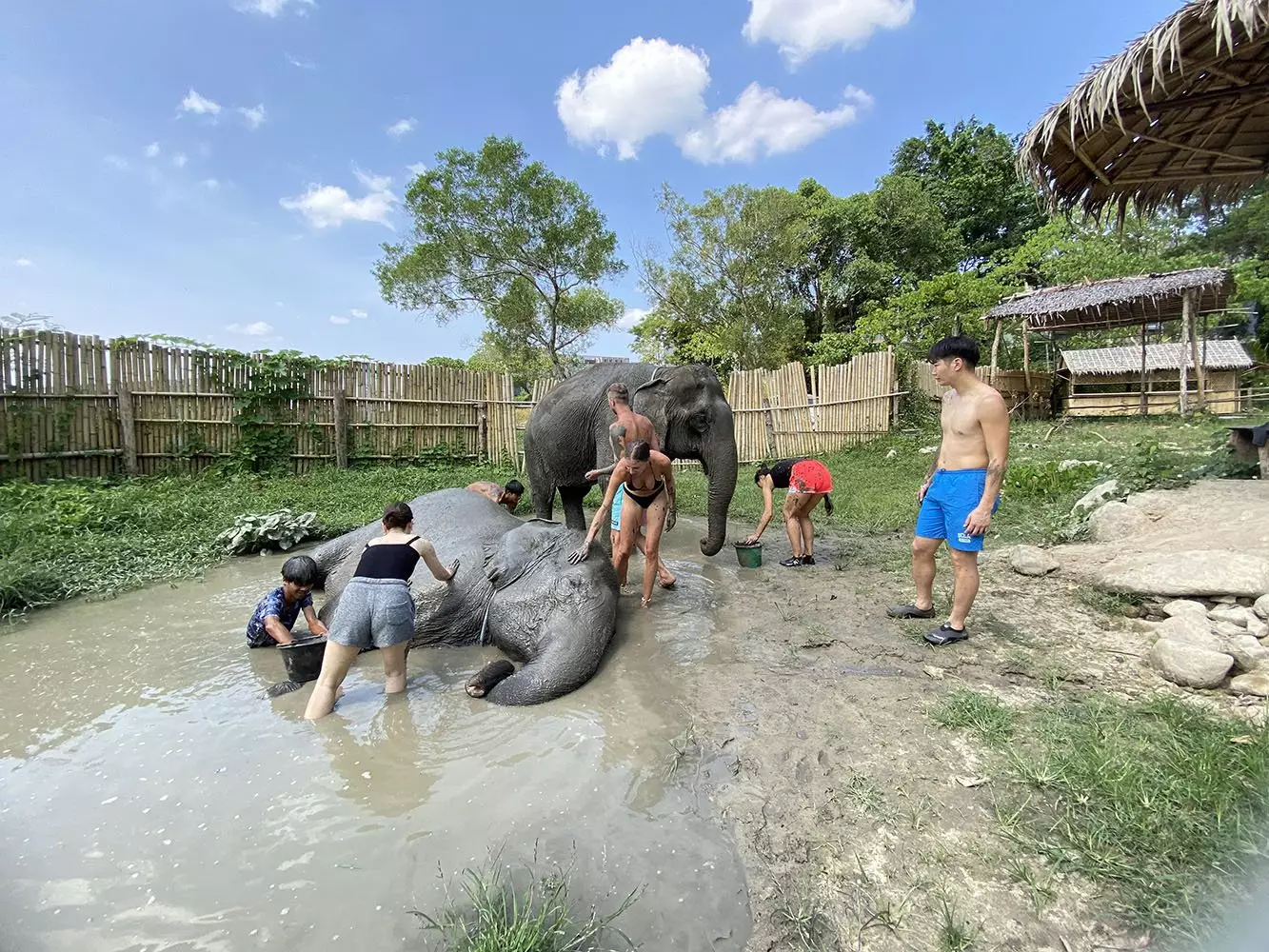 Patong, Tonsai Elephant Care Camp Phuket карта