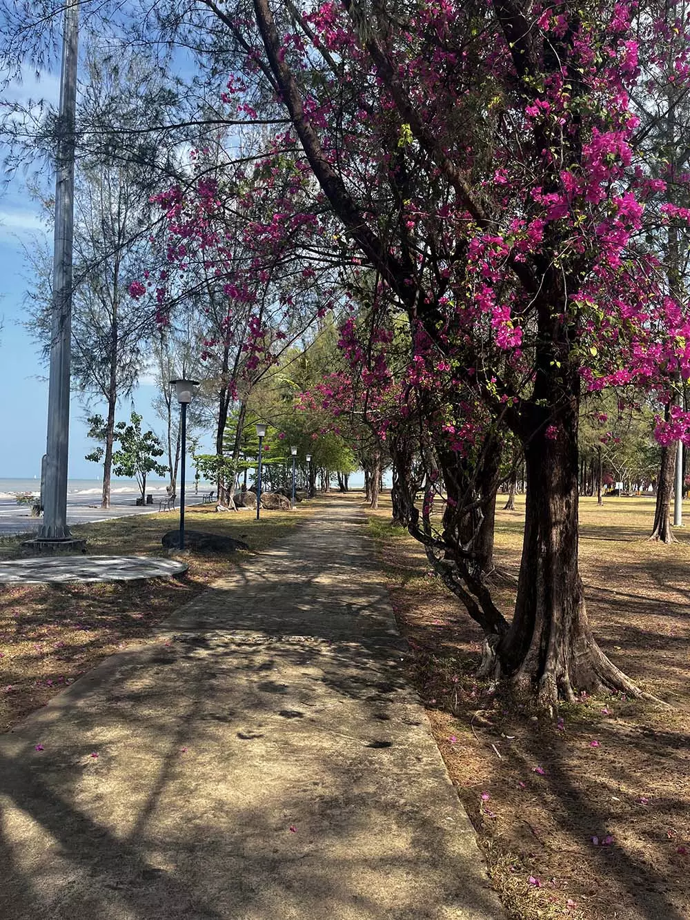 Phuket Town, Saphan Hin Park добраться самостоятельно