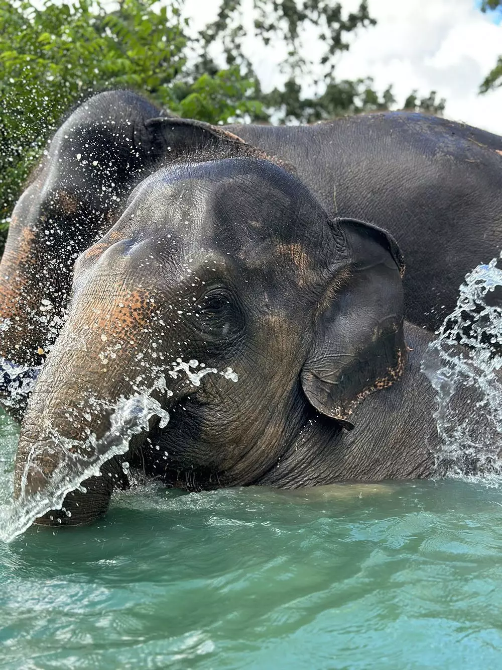 Kathu, Phuket Elephant Care Kathu map