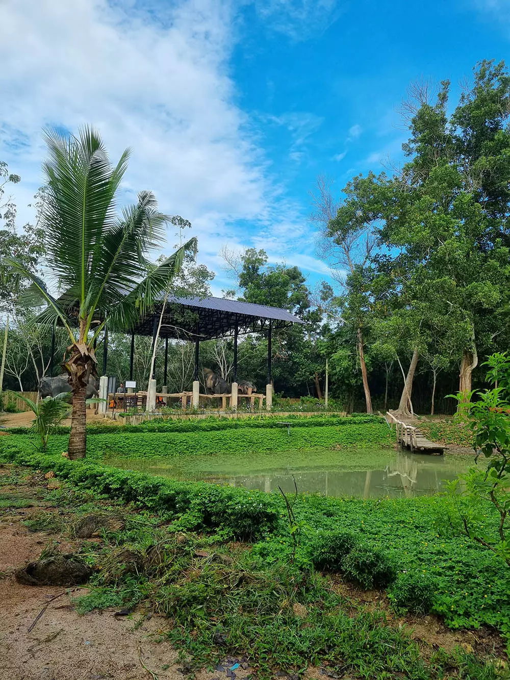 Thep Krasatti, Elephant Jungle Sanctuary Phuket (Thalang Branch) как добраться