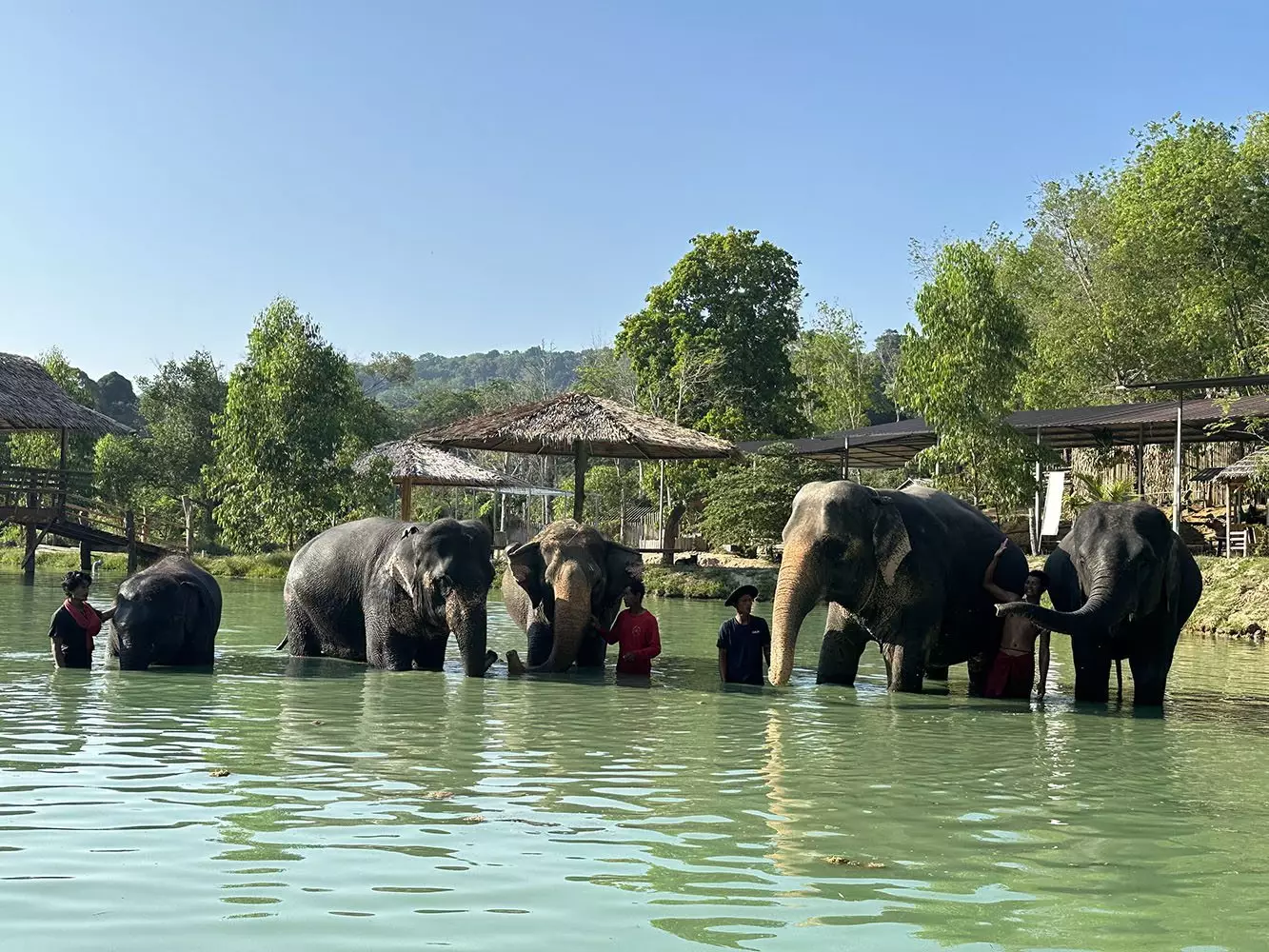 Sakhu, Phuket Elephant Care где находится
