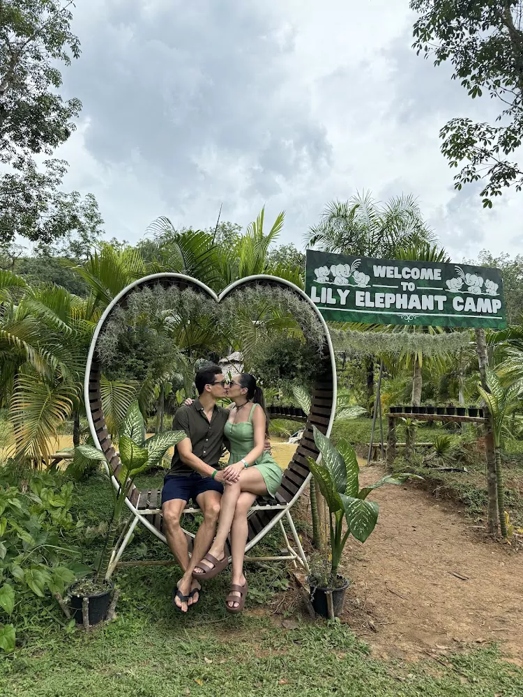 Па Клок, Lily Elephant Camp @Phuket сходить
