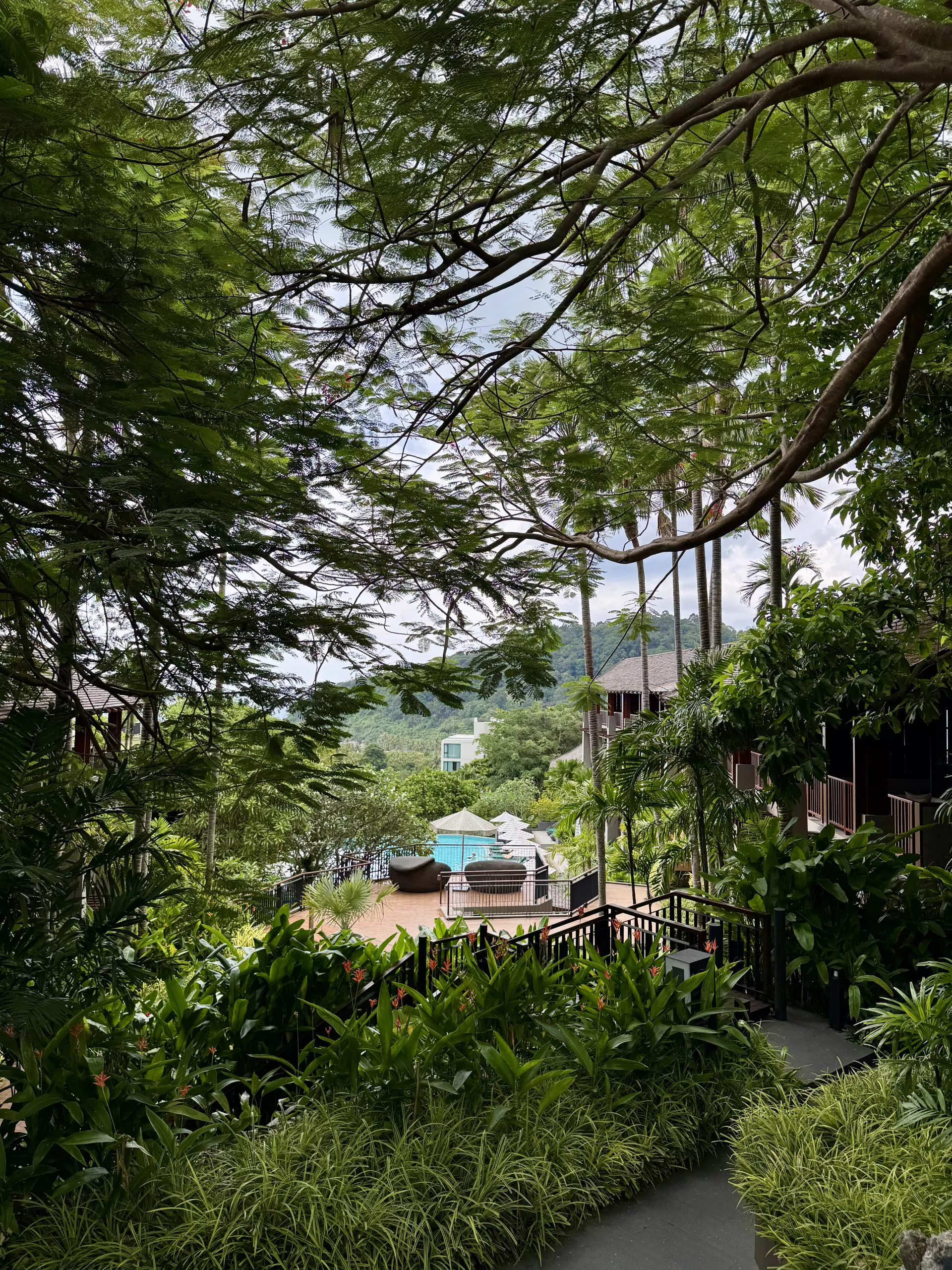 eo-NfbczO-bPZxdhSvH-aNgijzFA_3cP