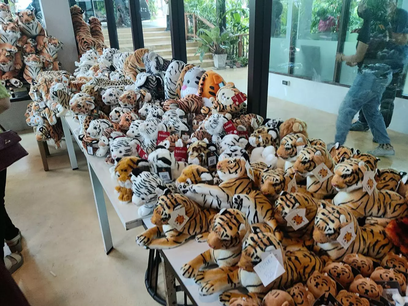 Chalong, Tiger Park Phuket find