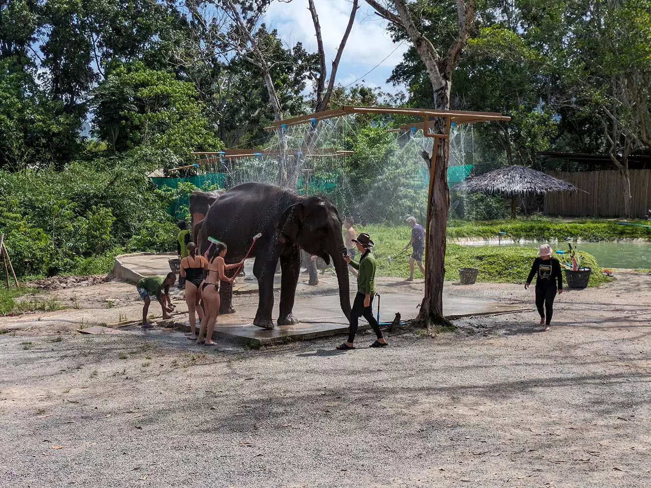 Kathu, Phuket Elephant Care Kathu address