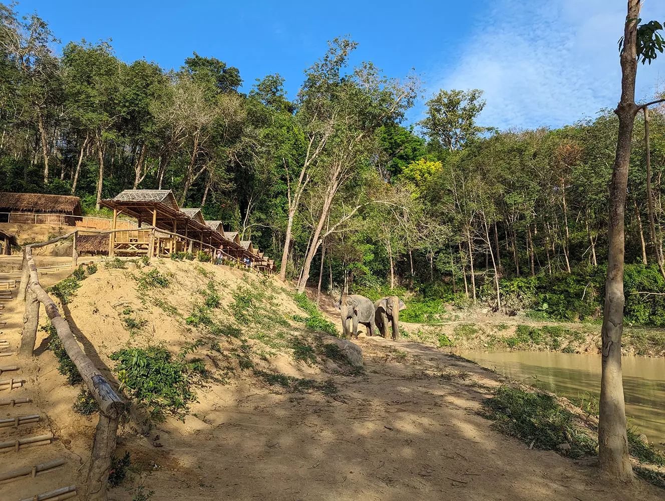 Chalong, Hidden Forest Elephant Reserve – Sanctuary in Phuket фото