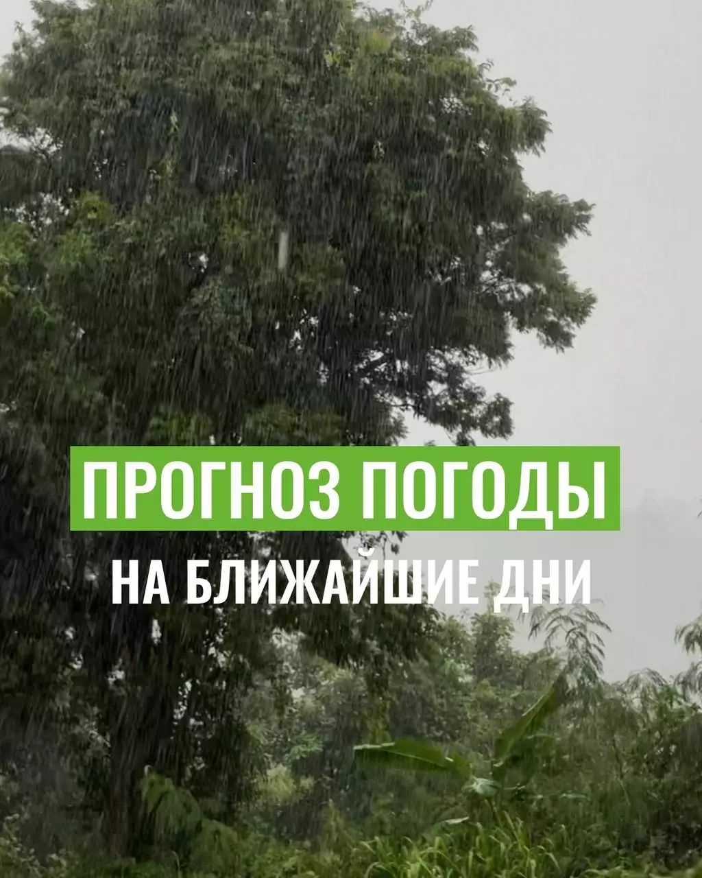 Узнать точный прогноз погоды на Пхукете