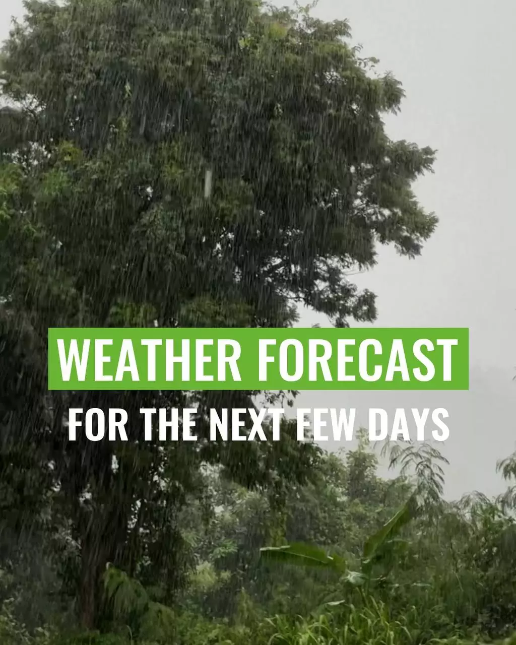 Get an accurate Phuket weather forecast