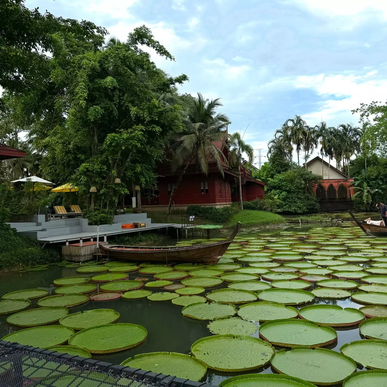 Ma Doo Bua Lily Lake in Phuket