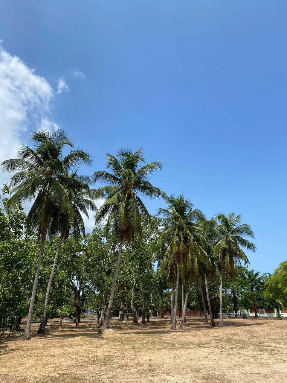 Chalong, Land and Houses Park Phuket фото